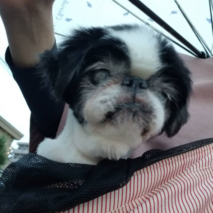 Af21383a d882 4aba a400 a570ea5fd94c 1631097886625