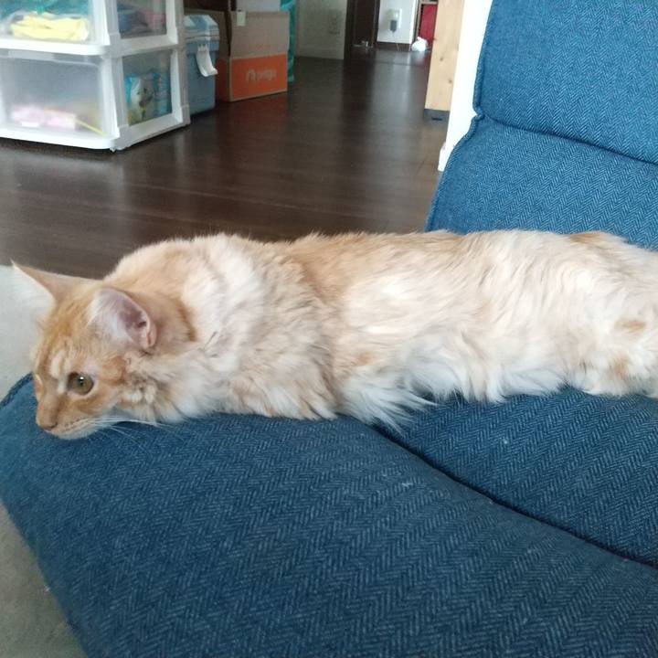 Af214082 5619 4460 88c5 d3ae631afe64 1625984191944