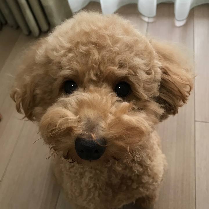 Af2141d5 df13 407f 97a9 12a43ae4a0d4 1509153524195