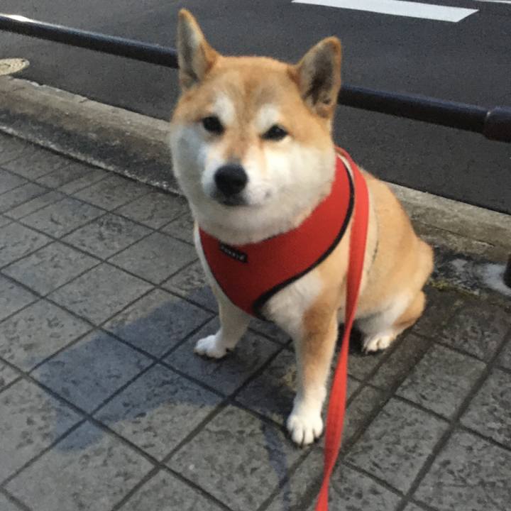 Af216ddb ebab 43d0 b451 ff4b8bbae6b5 1588327687812