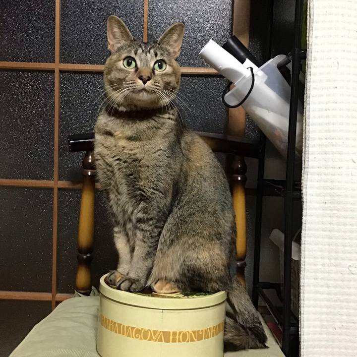 Af216e4d 7664 4302 8a18 6e7340f18501 1638092024489