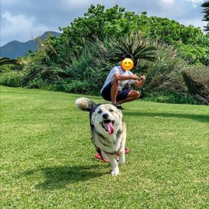 Af2183d8 2add 4655 a7d3 002c29642224 1553084011781