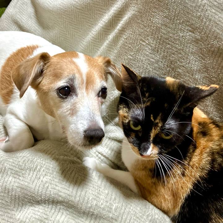 Af2186e5 5e65 4b2c ab81 fedf8094cccd 1704895089067