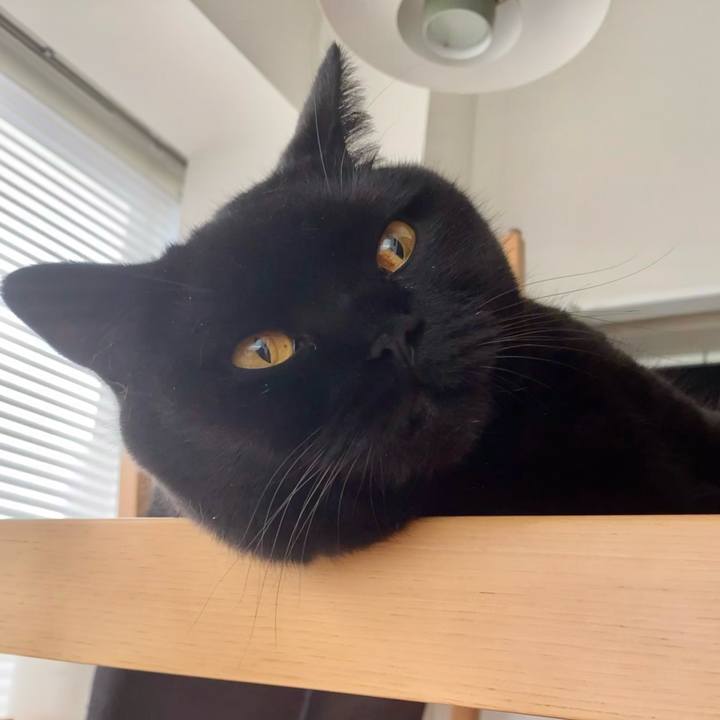 Af218a60 6206 476c b530 a403f2ea9e48 1659661513223