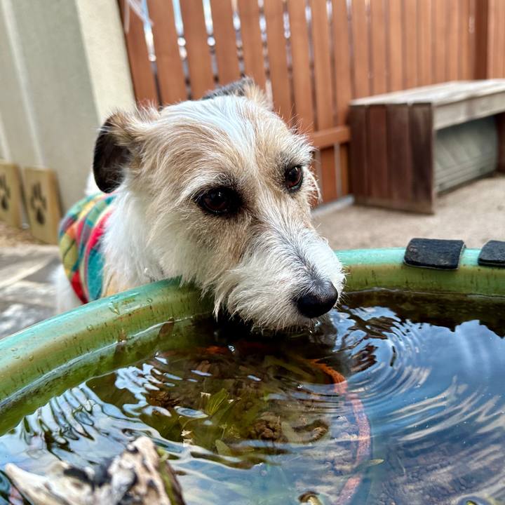 Af21bfb9 f8fa 4d76 9638 cd4377920b55 1771678893264