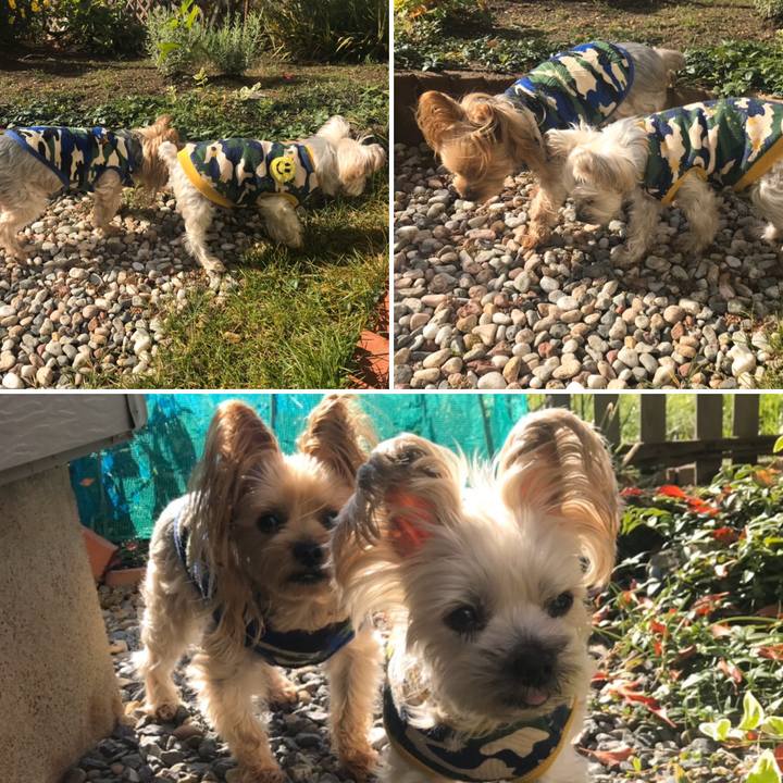 Af21e16e 44ef 4d71 a4c4 7627407dc800 1571651852975