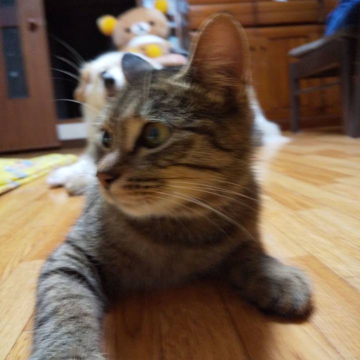 Af22138f 3015 4bab 868c 37fde0e4999e 1637546241253