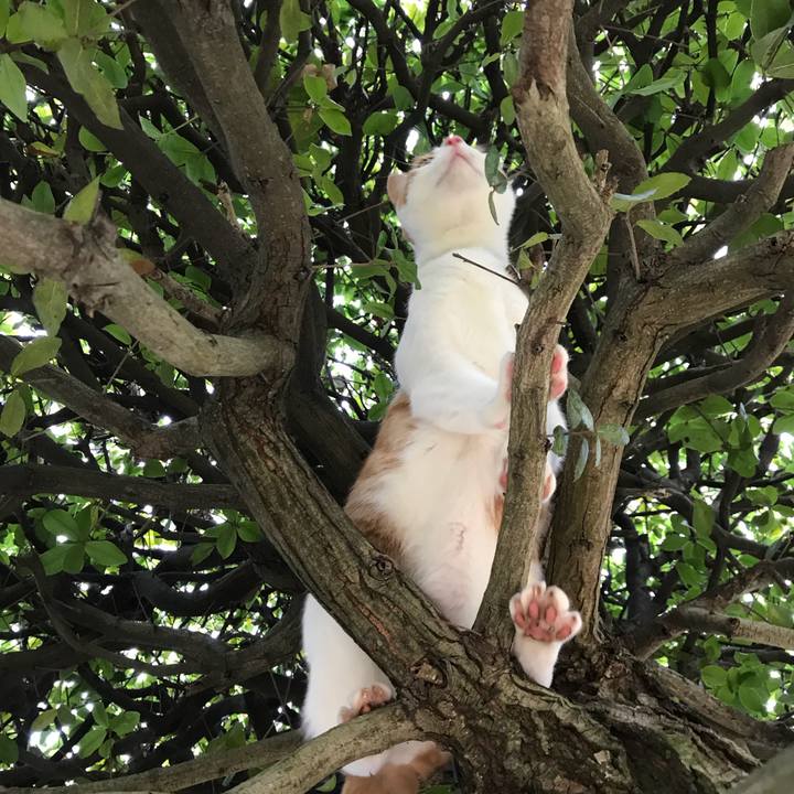 Af224954 aff7 472d 97f3 96ebf28f04f8 1516602171361