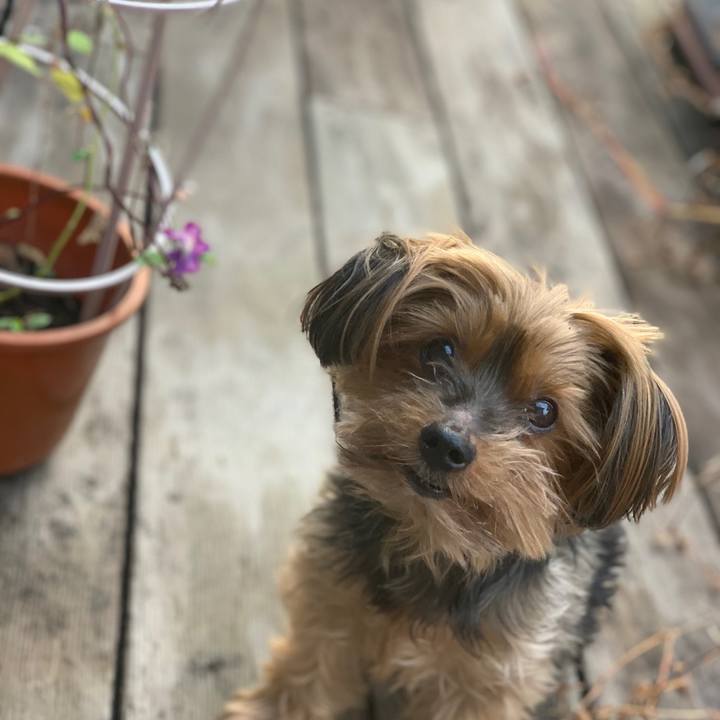 Af22dd4f 055b 48dc bb70 40ba81c95795 1637013519962