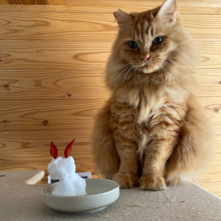 Af22ed08 4775 4b7a b6fa 2ff12b9714f9 1641588118299