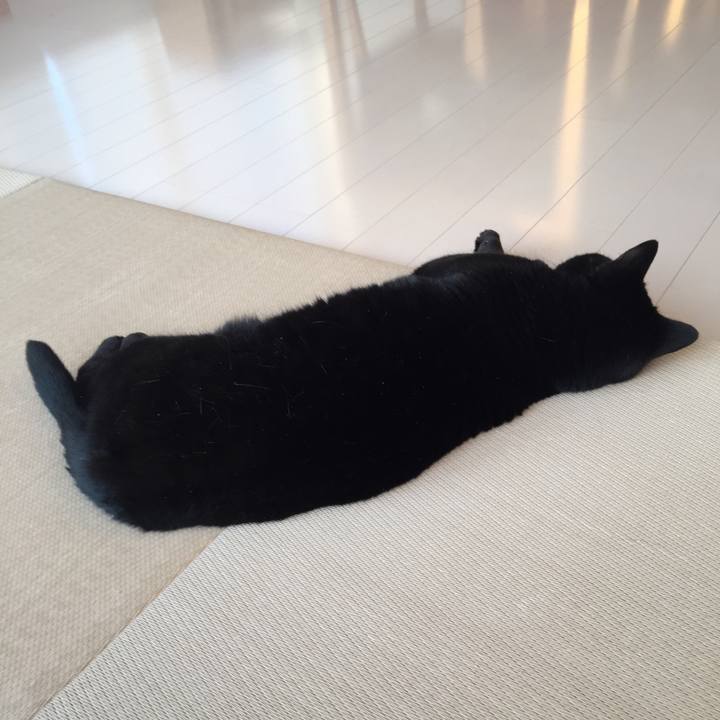 Af231d16 f63c 4ef9 bf69 52457e9bf7d2 1553321296720