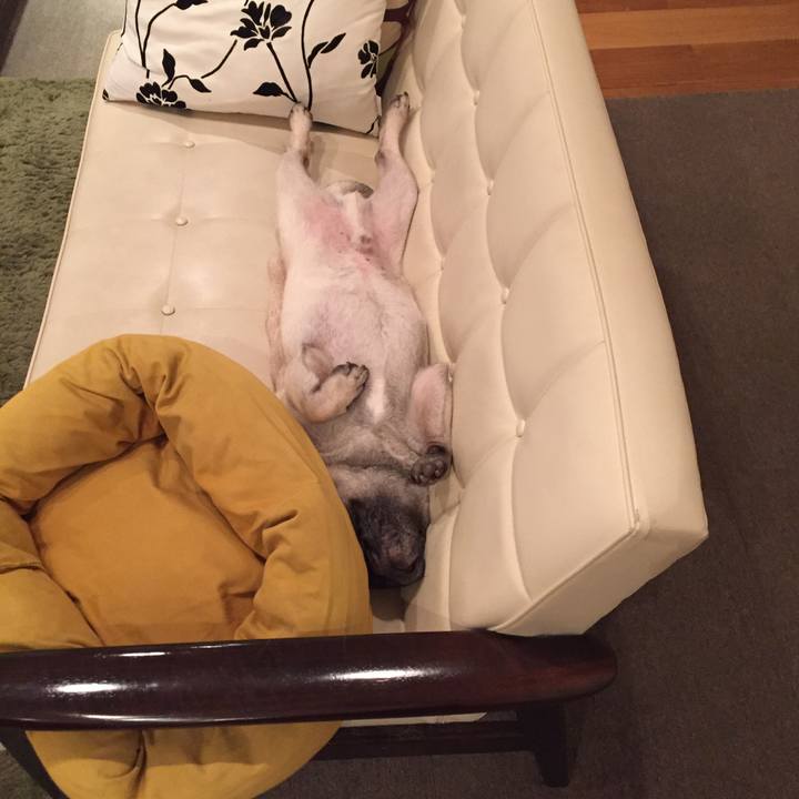 Af232aa9 c146 497a a4ff 5ac6eb454d34 1528126340301