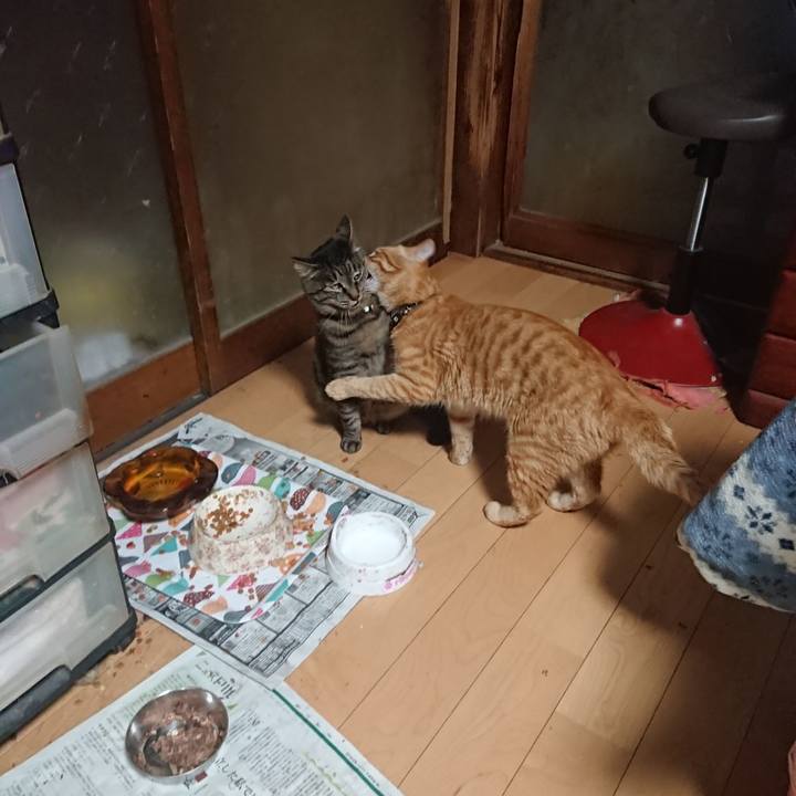 Af232c4c b5f2 4f9c 81c1 ca2dc6ab1fe0 1652870545908