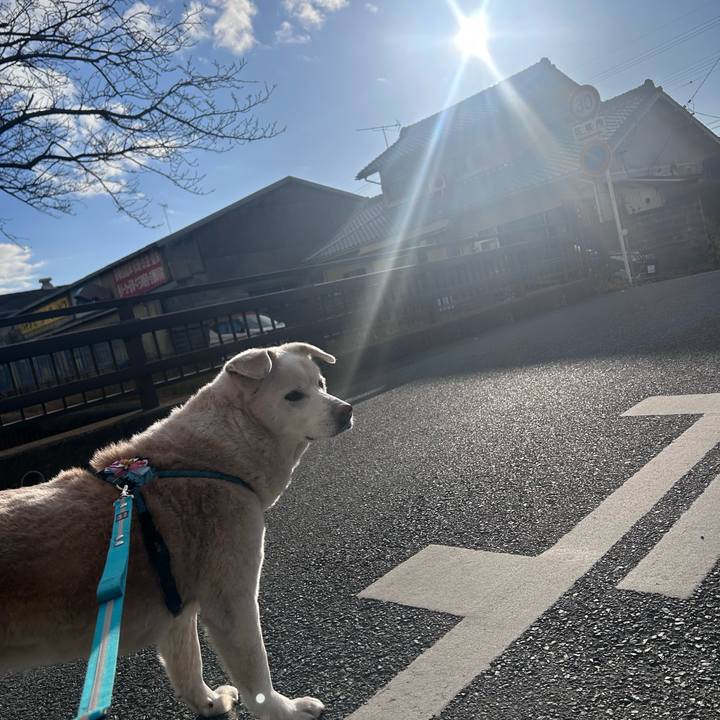 Af235c2b 34d7 4a8f 8cda 2d05429f1e55 1769962112518