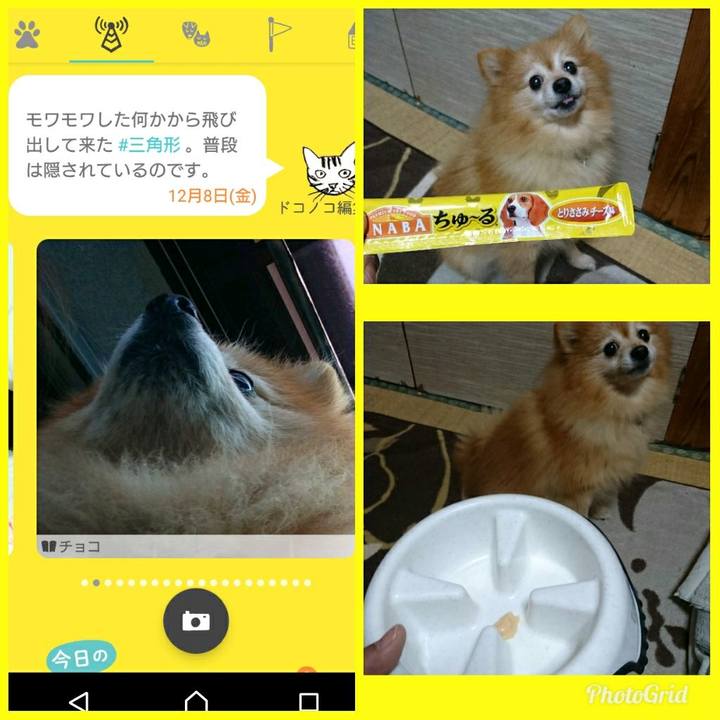 Af238276 a532 44f4 8e4d e59b4cbbc3da 1512722541744