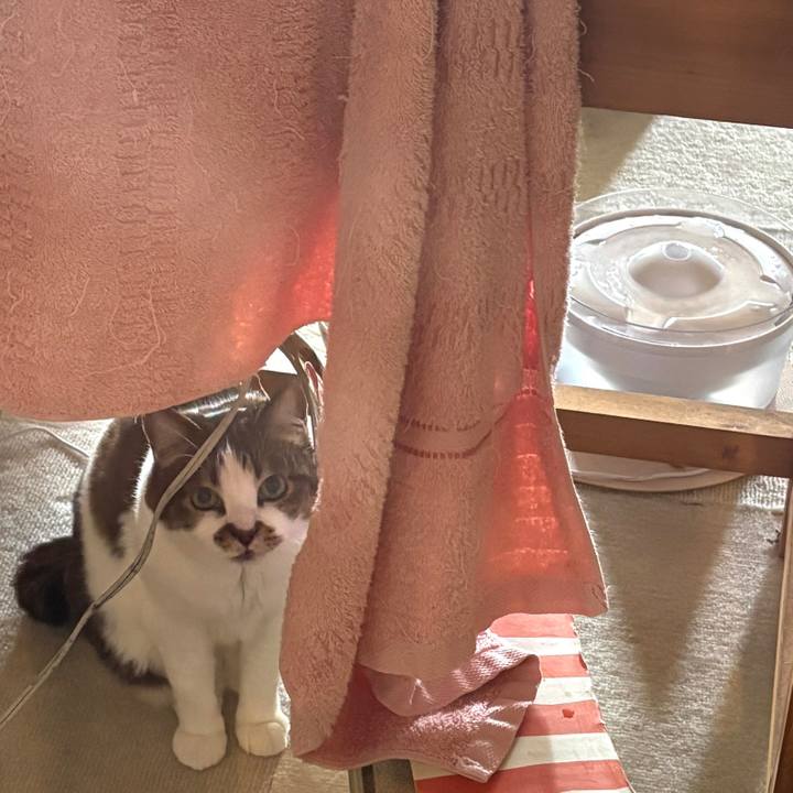 Af240d4a b98c 4b7d 8ab6 c45c9e368c86 1774567594180