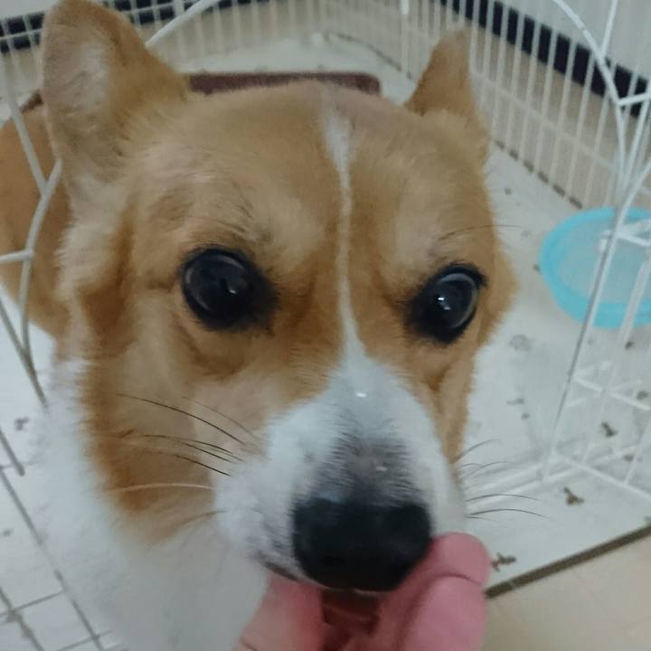 Af24173a 54dc 4e07 b321 c84c5d894b33 1532758182962