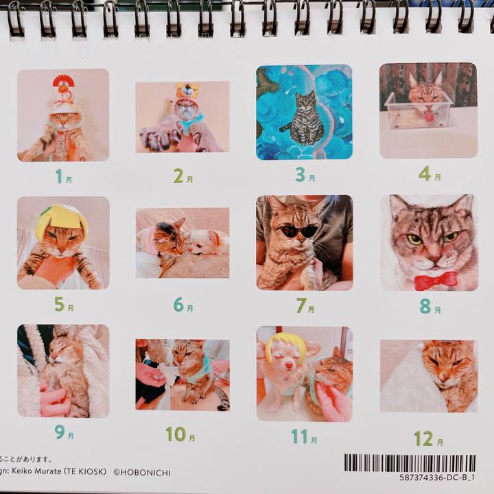 Af244f41 30a5 4738 b7b2 87bbd3a5d501 1671101670842