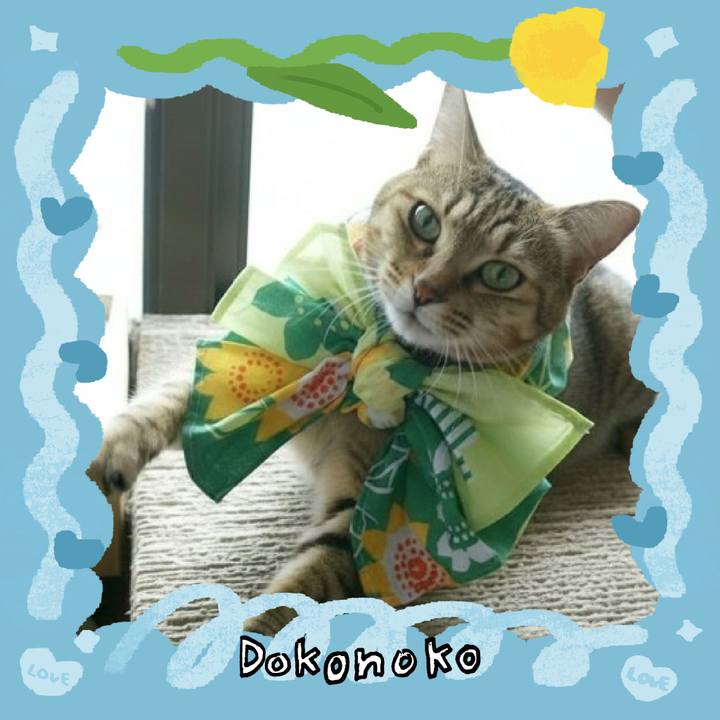 Af2479f1 0a01 4b74 bcf0 c38411909538 1771972840394