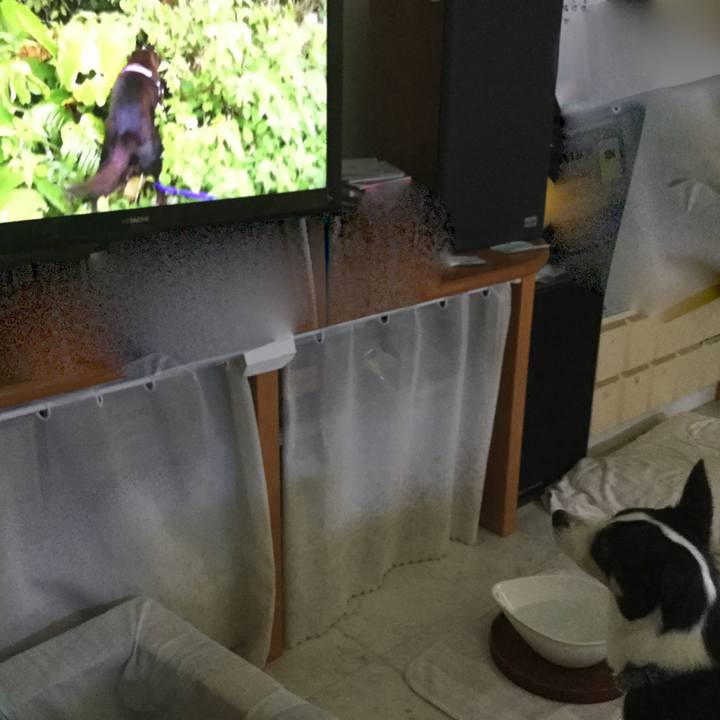 Af248490 c875 412d a8d1 a7ab8390b67e 1592897721948