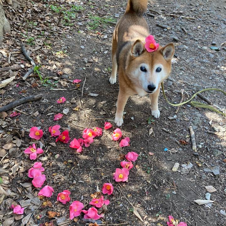 Af248fb3 7edd 4f69 b358 a2d4db09782c 1678506004074