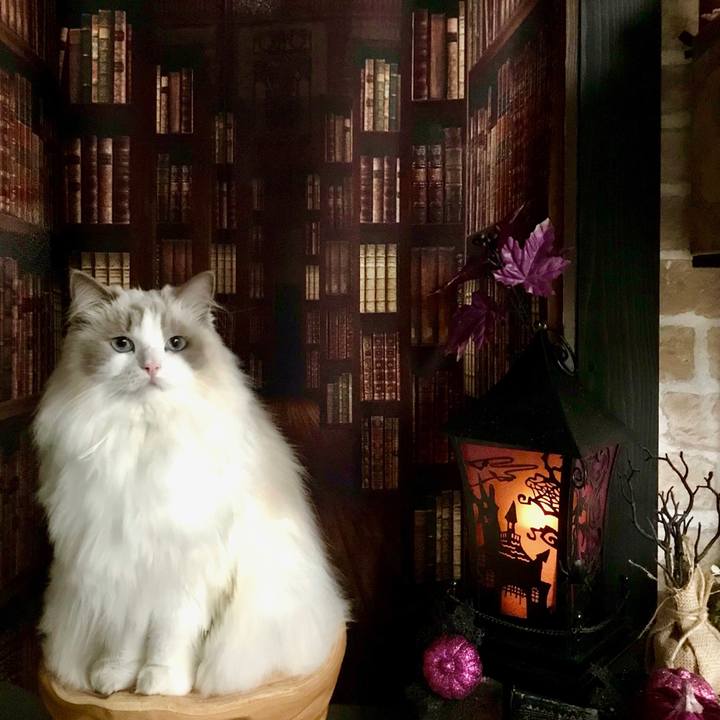 Af24c855 d7b0 4b6c bdd7 1cf88167d5f6 1634631982633