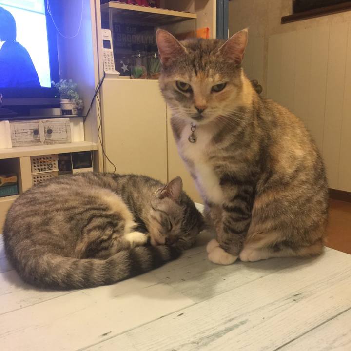 Af250e80 c543 4528 945e 6a79f676e1fd 1568992668293