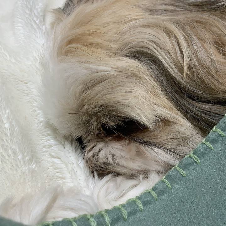 Af253332 9892 4594 9831 b03e647b2e17 1707037521502