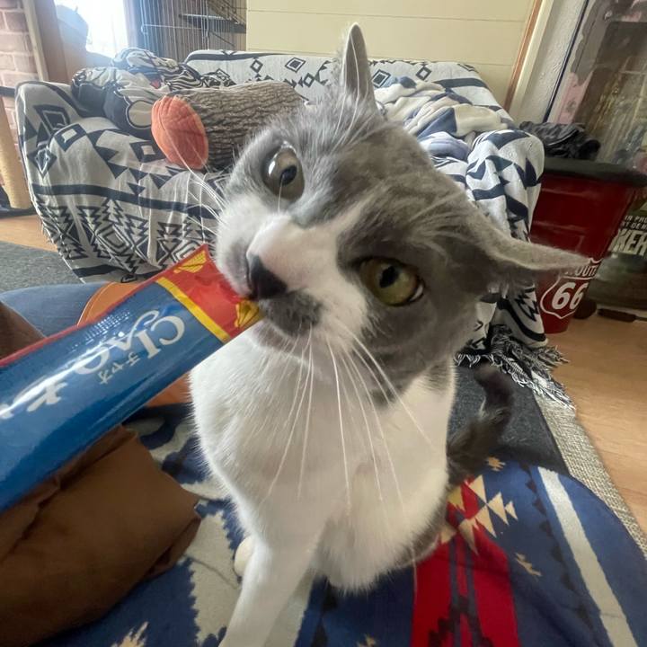 Af254d19 ecee 4347 8868 25e484f52a99 1676441381921