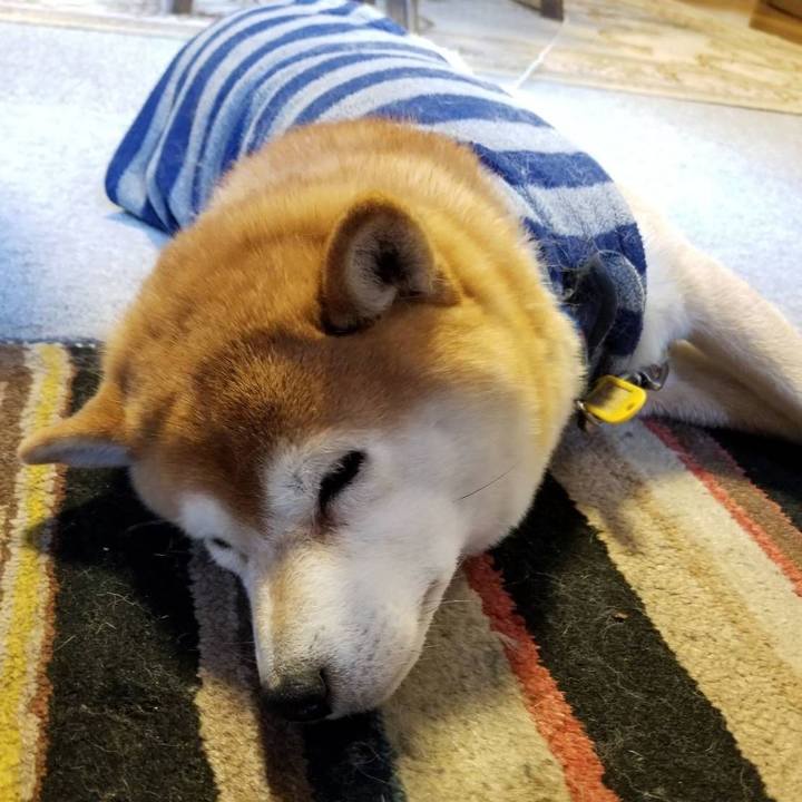 Af2569c5 c148 4d28 a3fe b1b4bb566ce6 1579304578790