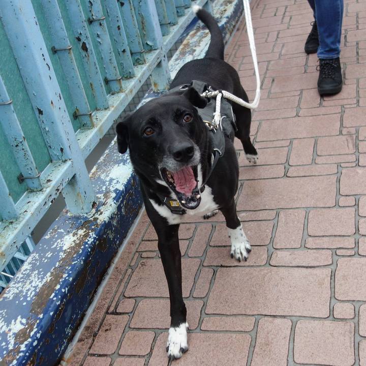 Af258114 03c1 4f51 b176 f4a43e1a13b7 1665362033718