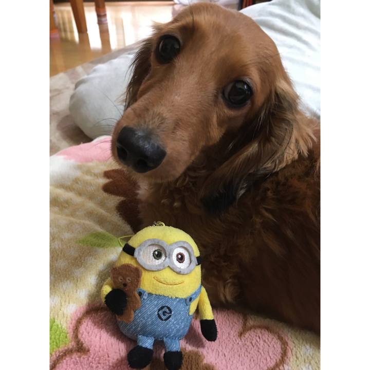 Af25abe4 0b00 4ffc a3a7 ab0ccdc892ab 1515577336982