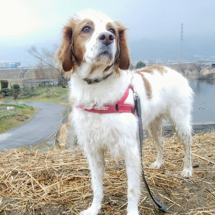 Af25b075 c6d9 4506 98d5 a0912cde45dd 1549254093363