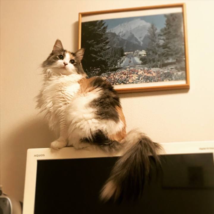 Af25e042 15f7 4797 88d6 e47a4611a869 1537271069070