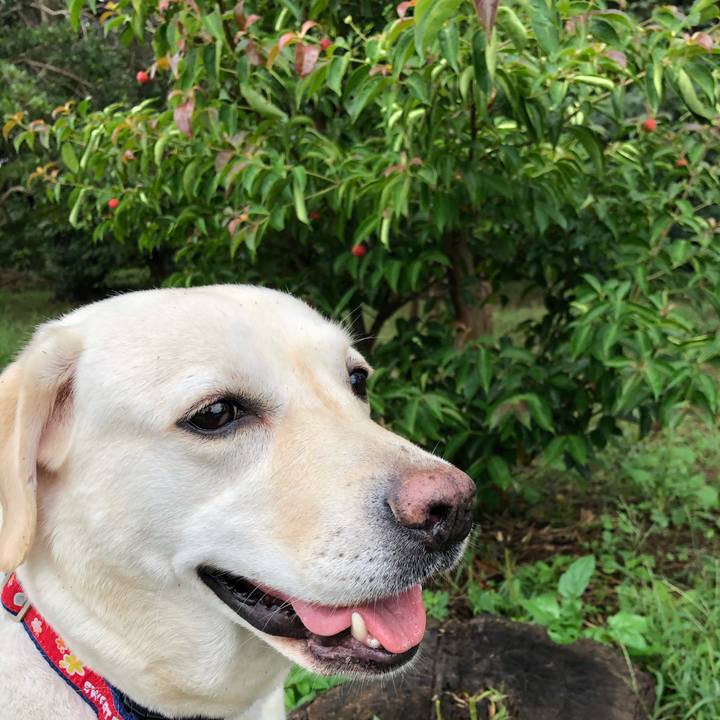 Af261313 09f9 4e62 bfba ea6f32836bad 1603243840510