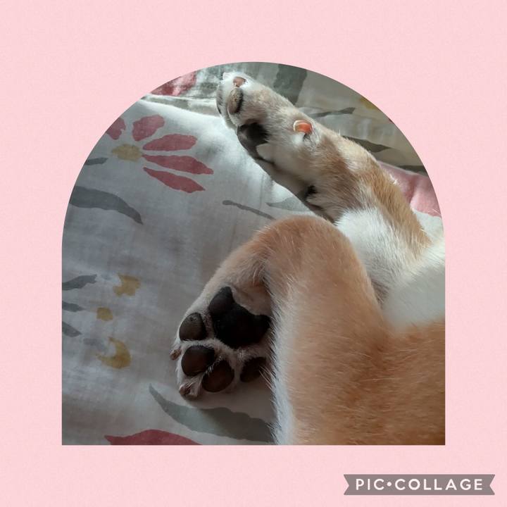 Af2662a0 055e 4a1f 90c3 e4643d98cccd 1727860954025