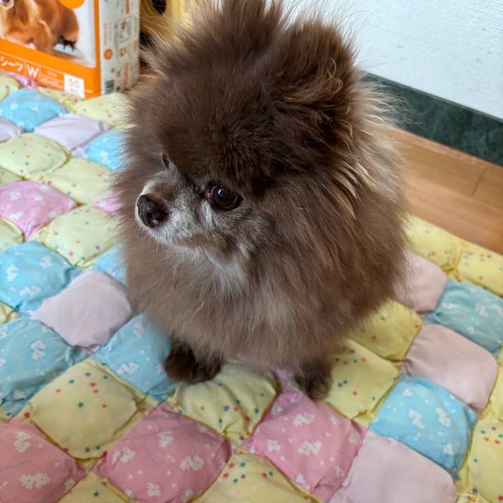 Af2674f1 6a0b 4d91 937c 7c3ec85bba90 1744066217597