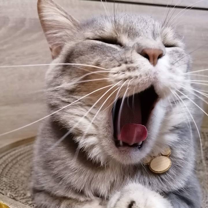 Af268fa5 ac89 406b aba5 f64464e50789 1588167463552