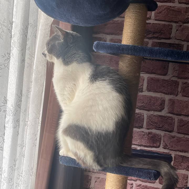 Af26a18c 0a4e 486f 8fe3 466da076844d 1704244153112