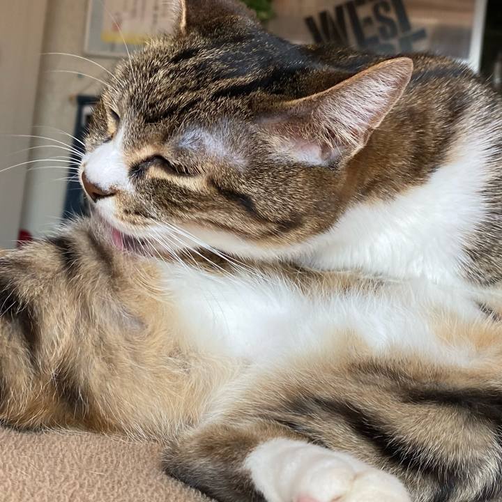 Af26a27b 3bbf 4da8 bc1b 95fc52d95282 1613010365540