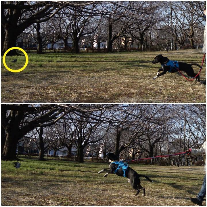 Af26a711 ceaf 4cb4 be69 dda331c4aa7d 1614473436095