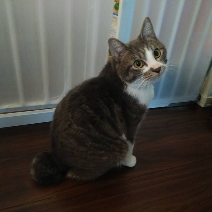 Af26af2b 1404 4092 86c3 8b740661563b 1578178716113