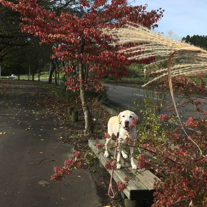 Af26b9c9 5142 4952 9855 5aa889ae6d06 1568894215456