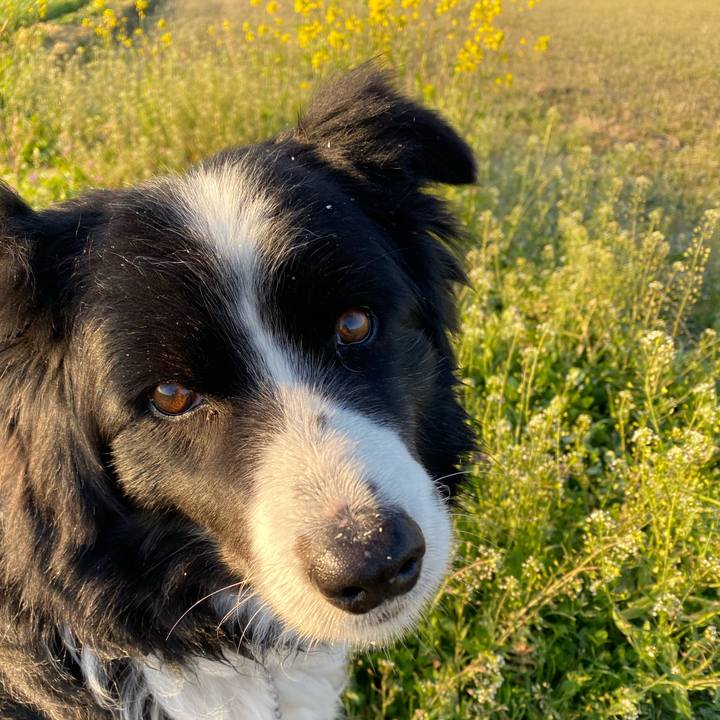 Af26bd57 7185 4cb0 b6d7 c958ed350e9c 1614208342367