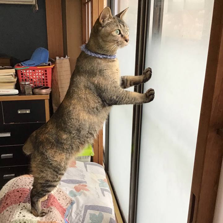 Af26c1ed d8af 44c3 a2e0 75a83ae52a28 1616908784473