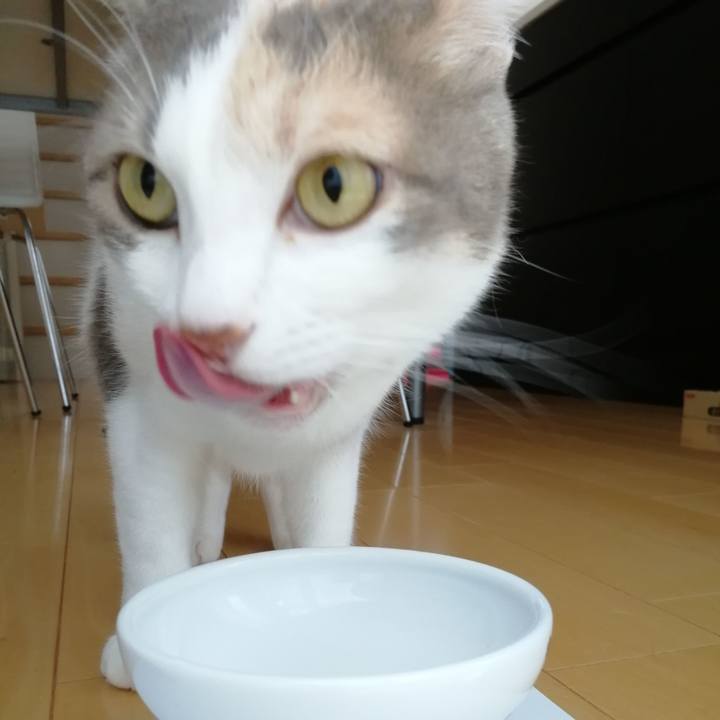 Af2708b8 5b08 489e 932e 363d541eb0f0 1570001018410