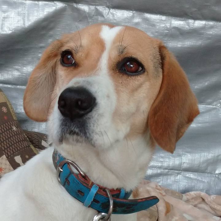 Af270f7a 8942 4b61 89ae 464bbcdbbe7c 1610893906587