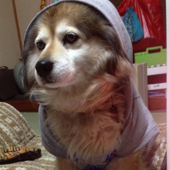 Af27177b 793e 4166 8b41 9b139d28e2b0 1595292596764