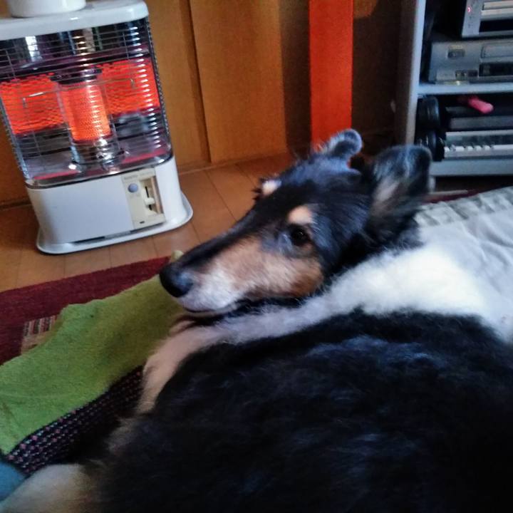 Af272608 a2e7 4a86 adeb a66feafa05a2 1548851205921