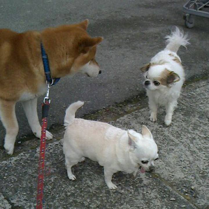 Af276c57 1a18 4023 8dc0 e8670864a66c 1523442879998